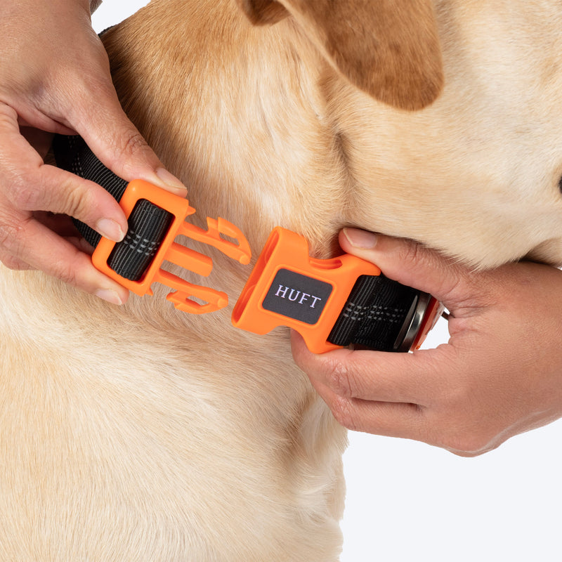 HUFT Xplorers Collar For Dog - Black_05