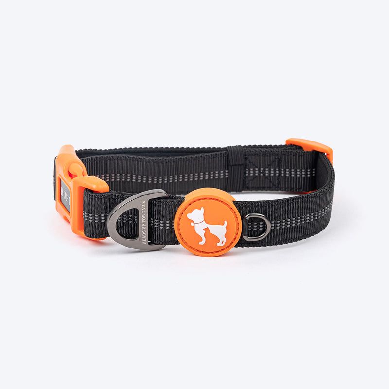 HUFT Xplorers Collar For Dog - Black_07