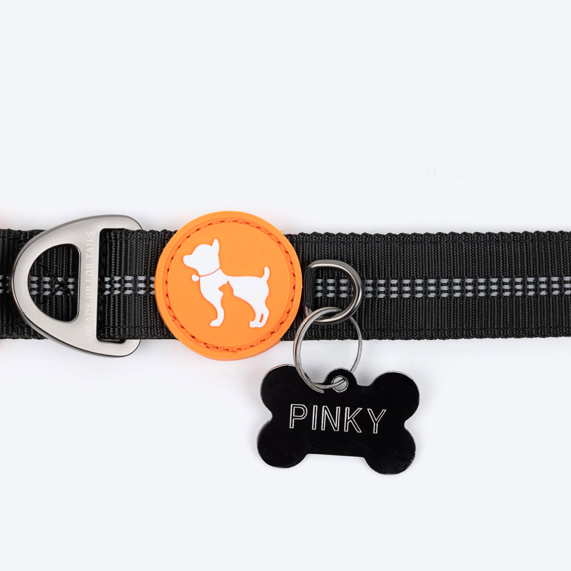 HUFT Xplorers Collar For Dog - Black_11