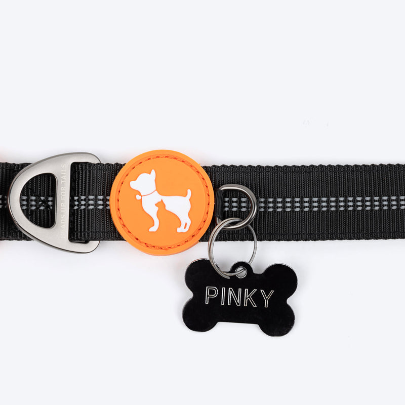 HUFT Xplorers Collar For Dog - Black_11