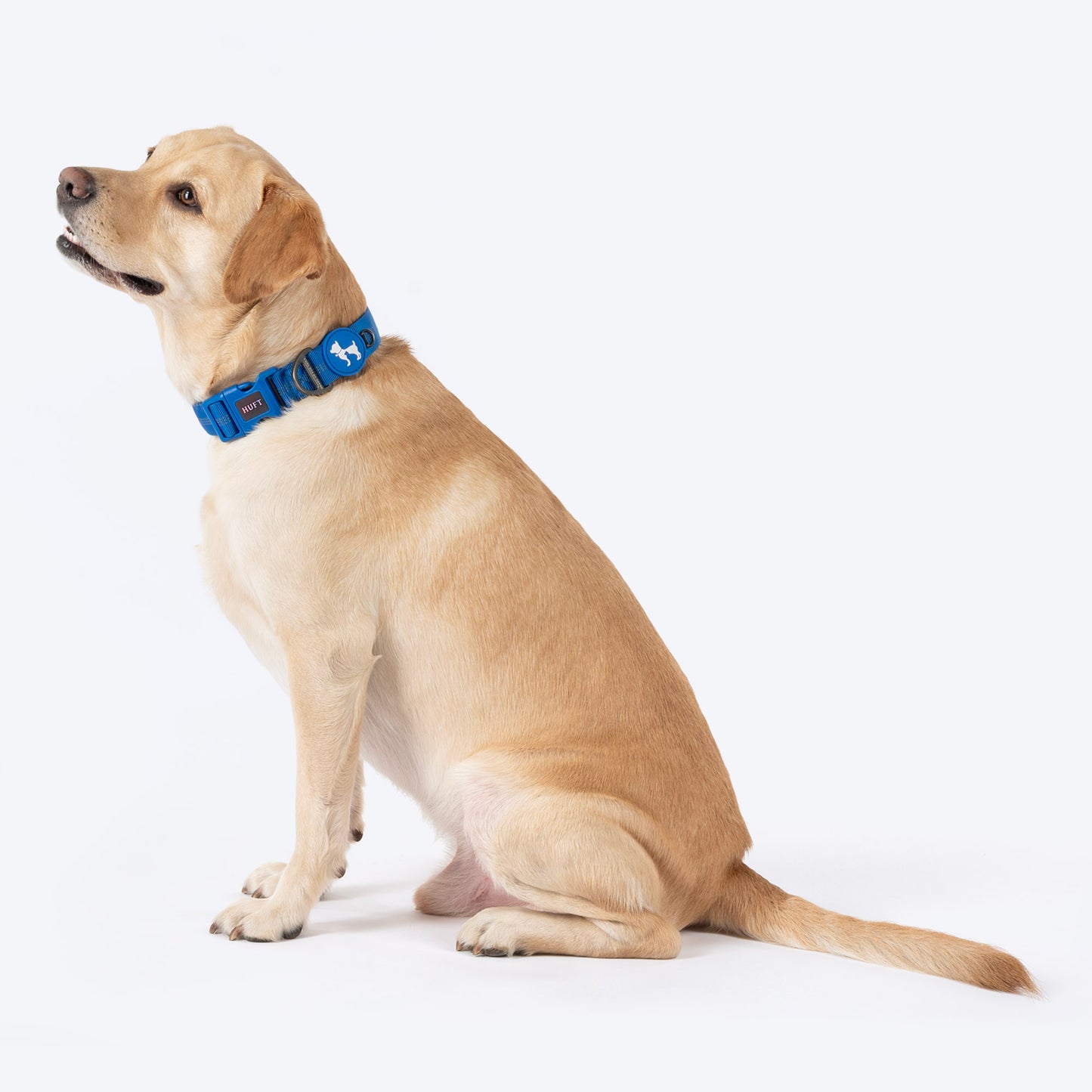 HUFT Xplorers Collar For Dog - Blue_02