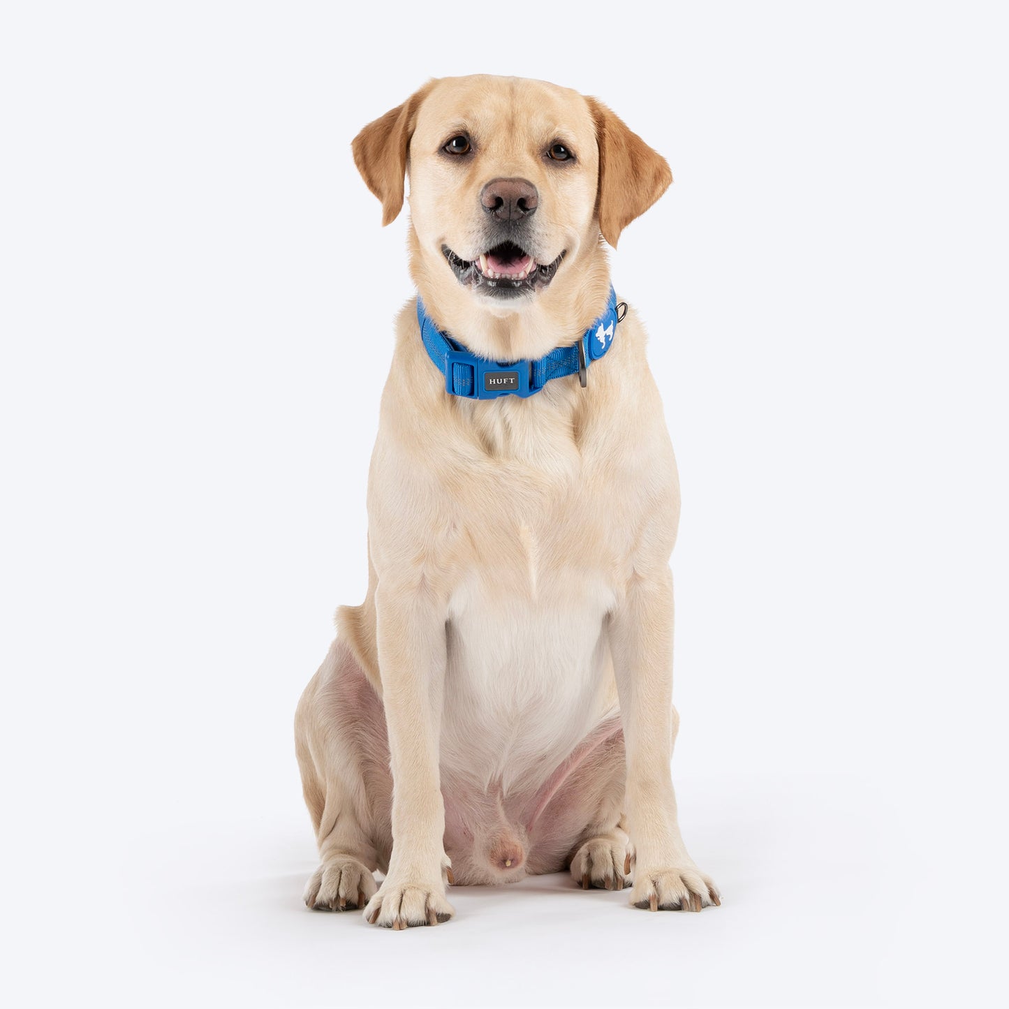HUFT Xplorers Collar For Dog - Blue_03