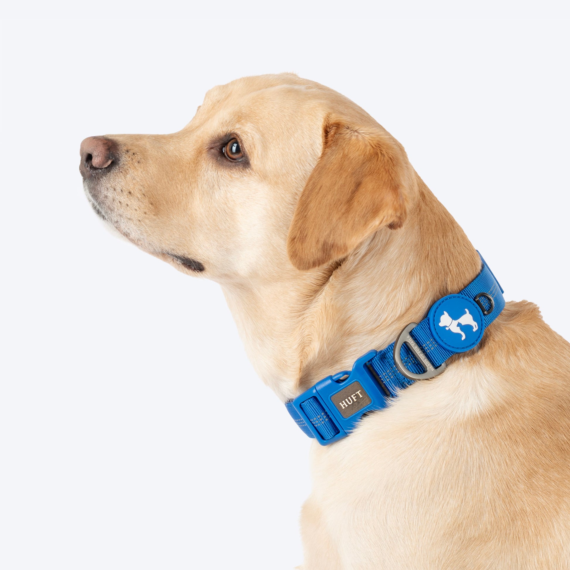 HUFT Xplorers Collar For Dog - Blue_04