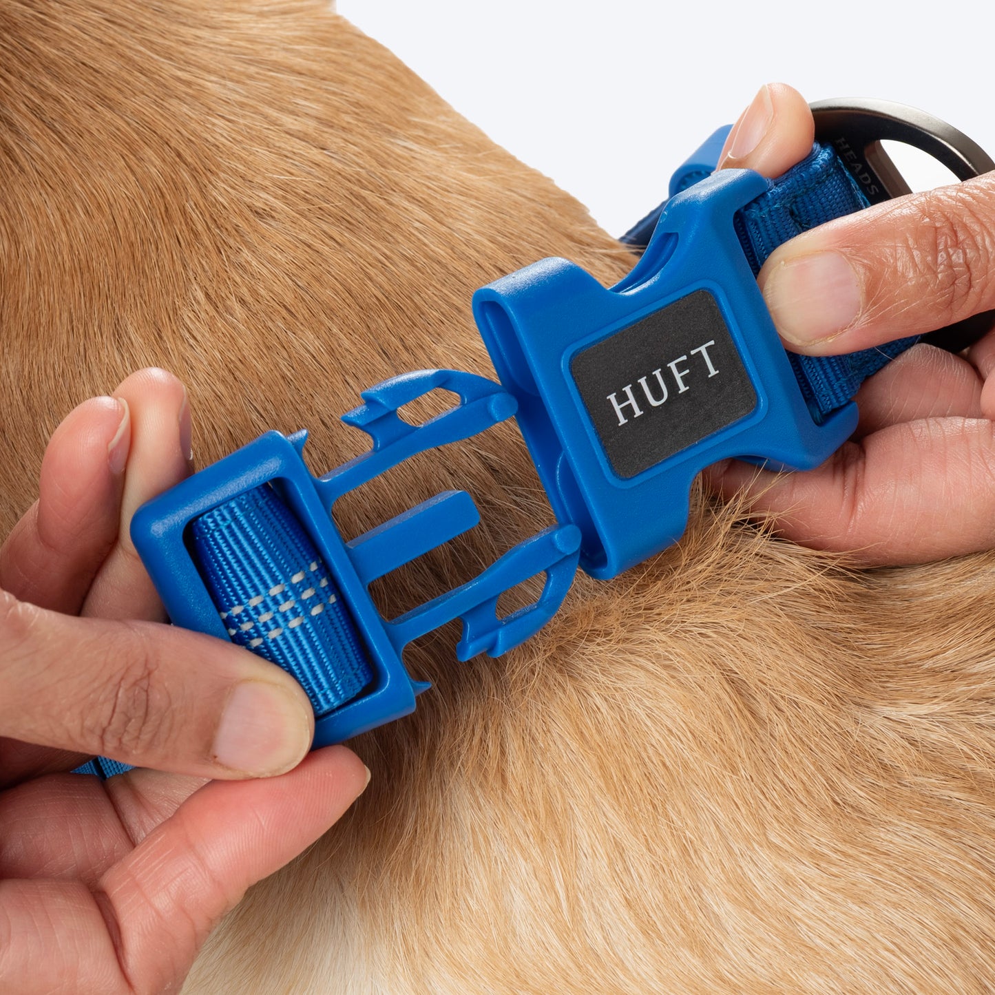 HUFT Xplorers Collar For Dog - Blue_05