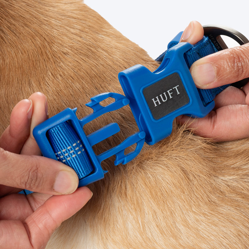 HUFT Xplorers Collar For Dog - Blue_05