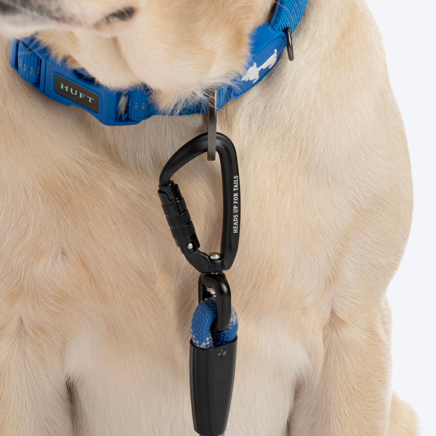 HUFT Xplorers Collar For Dog - Blue_06