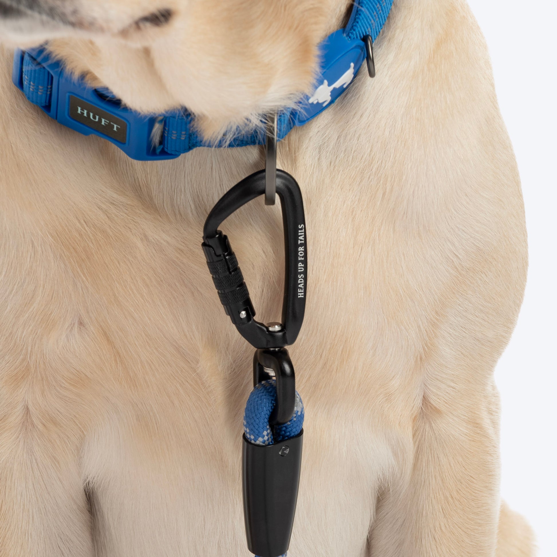 HUFT Xplorers Collar For Dog - Blue_06