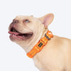 HUFT Xplorers Collar For Dog - Orange_02
