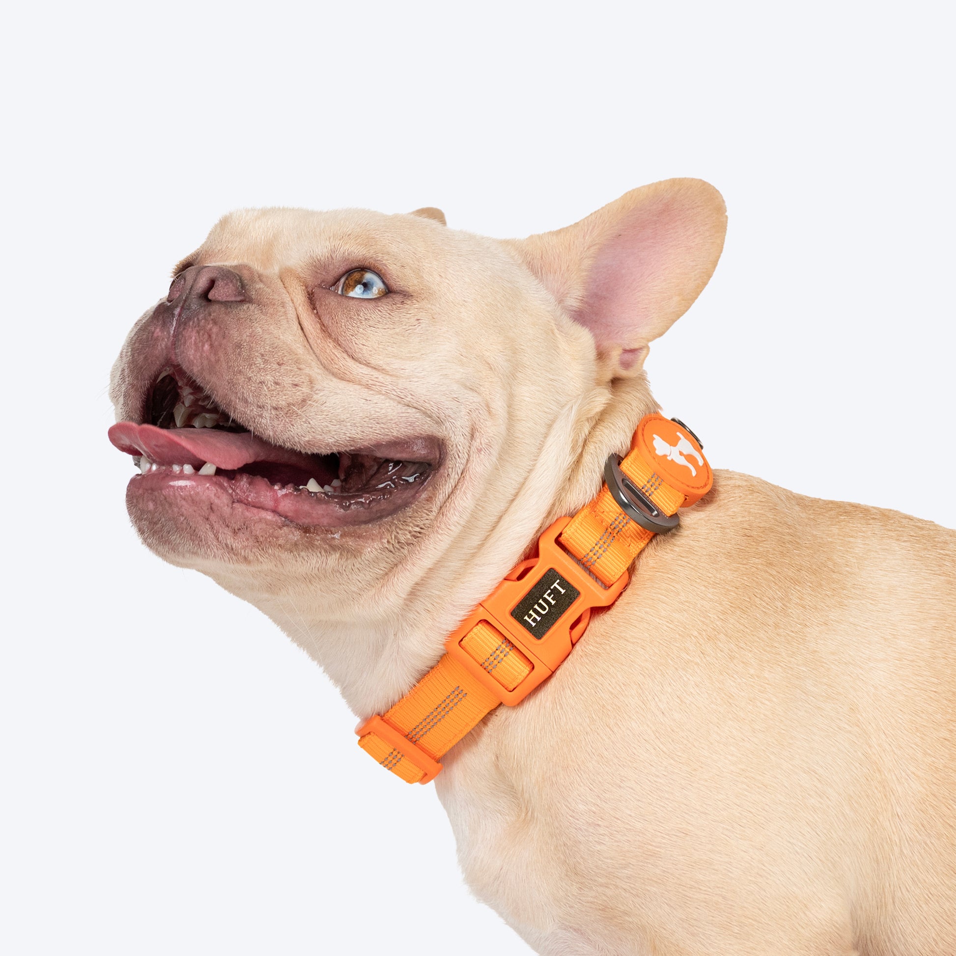 HUFT Xplorers Collar For Dog - Orange_02