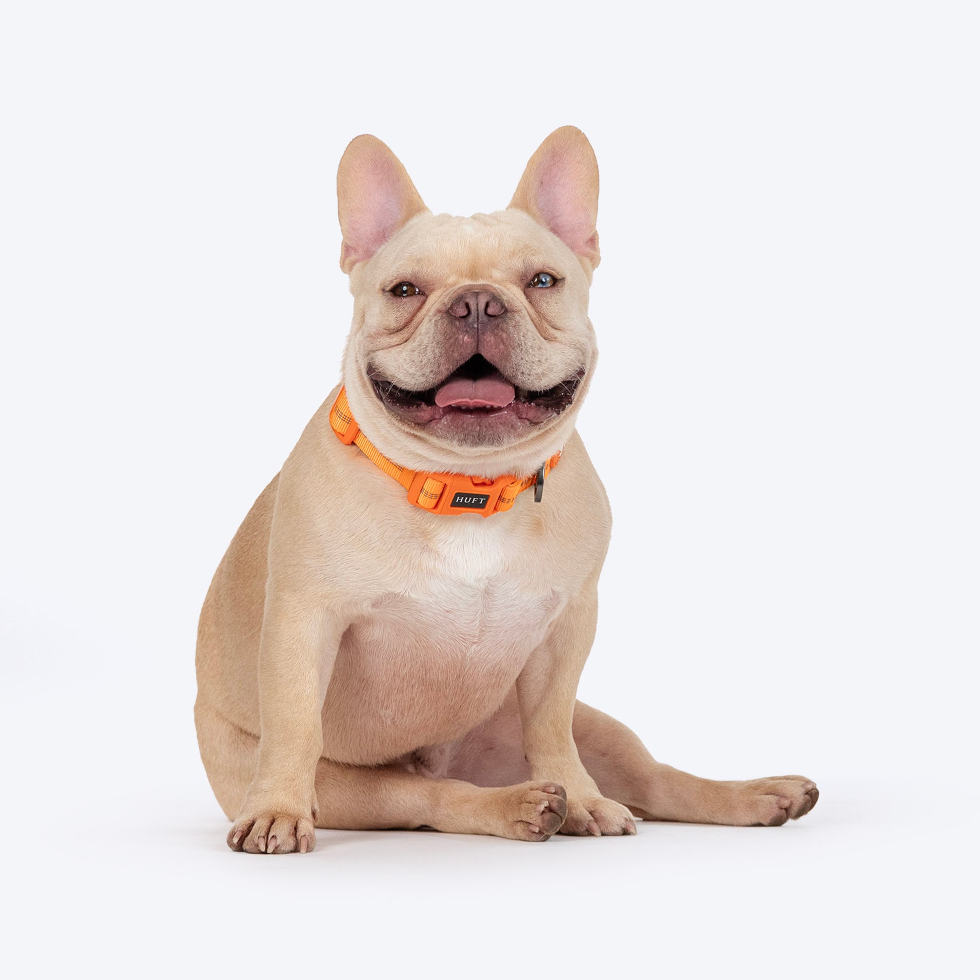 HUFT Xplorers Collar For Dog - Orange_04