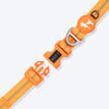 HUFT Xplorers Collar For Dog - Orange_08