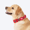 HUFT Xplorers Collar For Dog - Red_03
