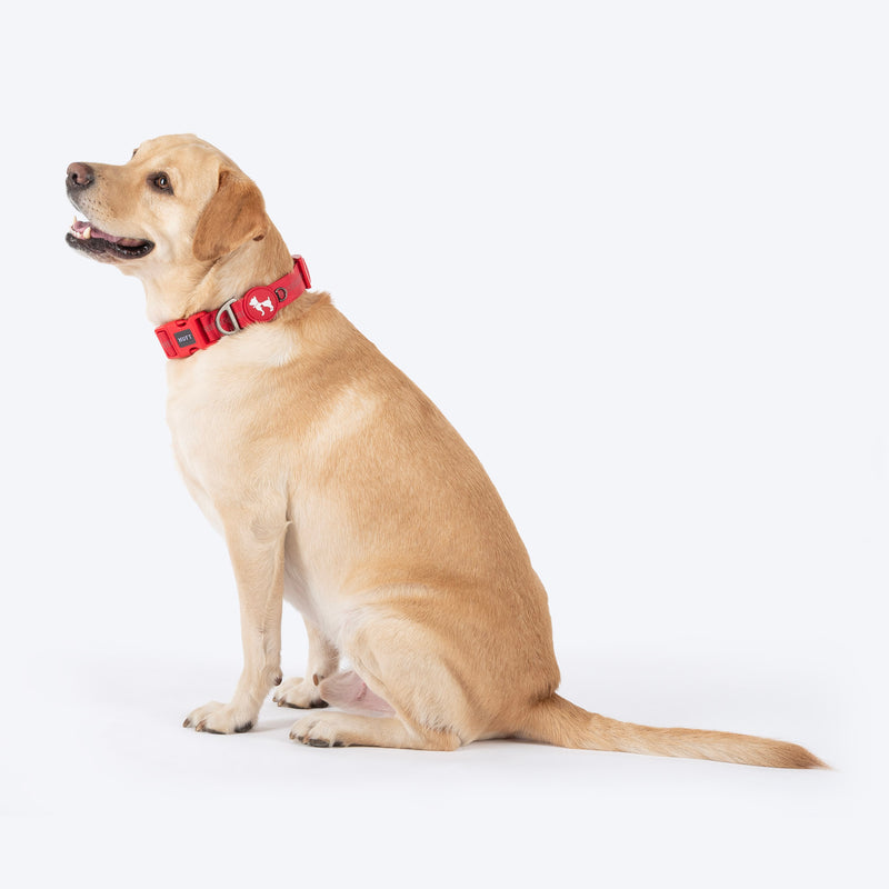 HUFT Xplorers Collar For Dog - Red_04