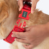 HUFT Xplorers Collar For Dog - Red_06