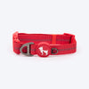 HUFT Xplorers Collar For Dog - Red_08