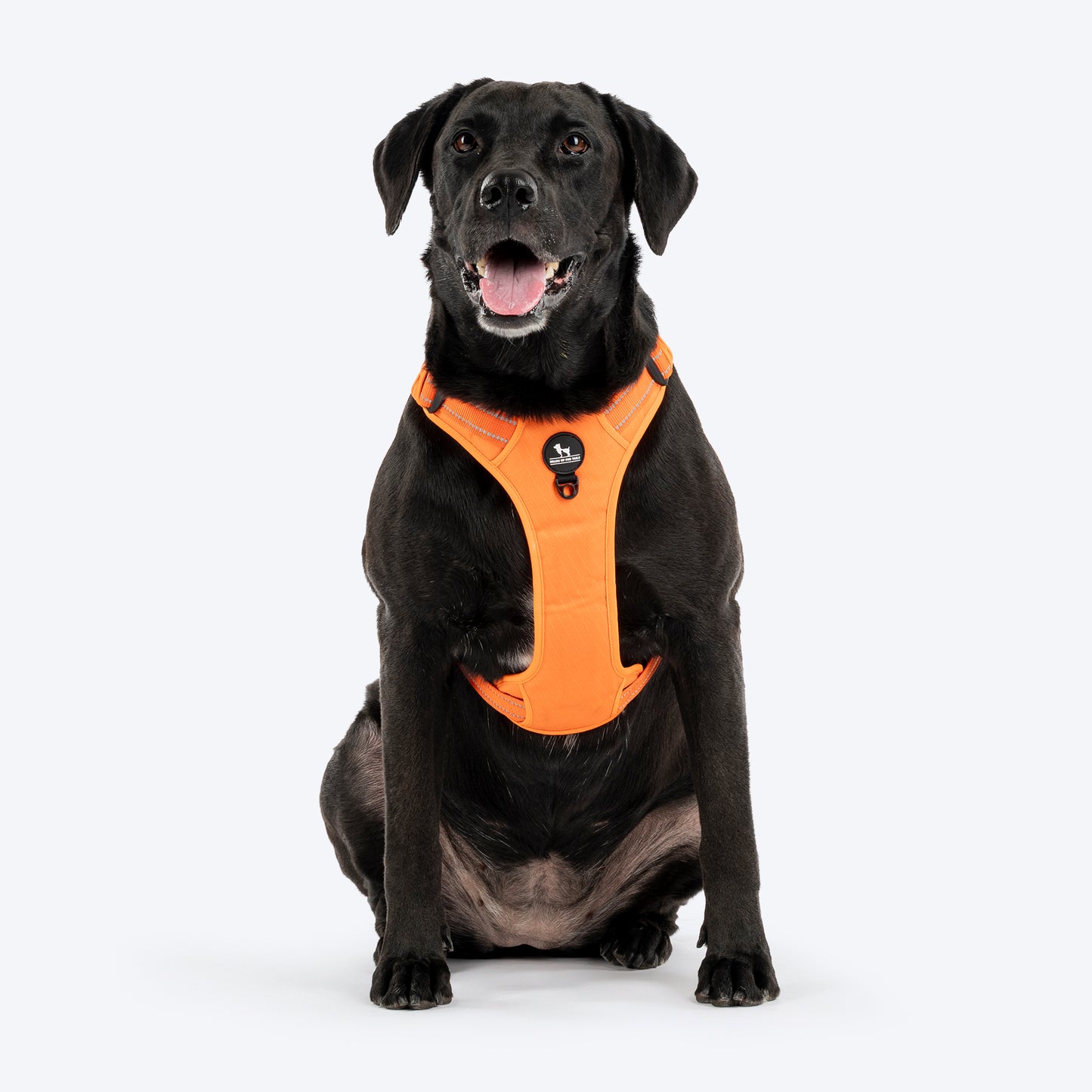 HUFT Xplorers Harness For Dog- Orange_01