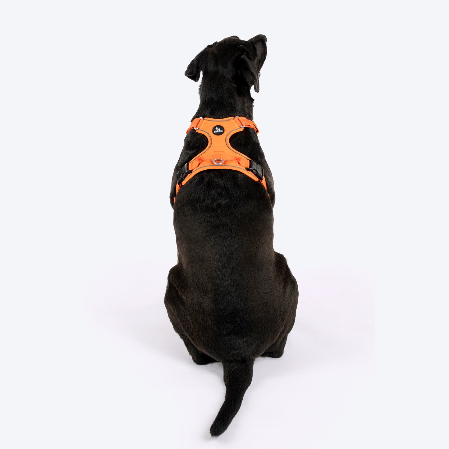HUFT Xplorers Harness For Dog- Orange_02