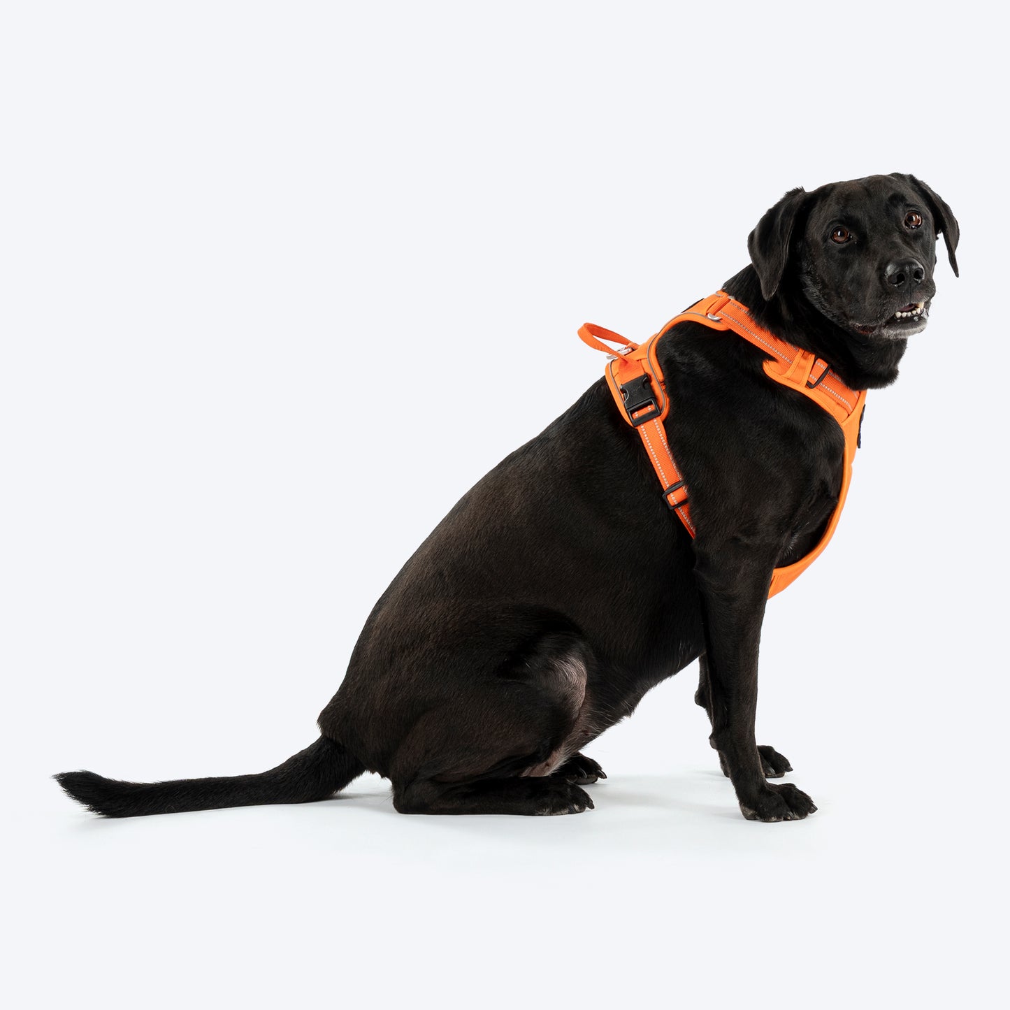 HUFT Xplorers Harness For Dog- Orange_03