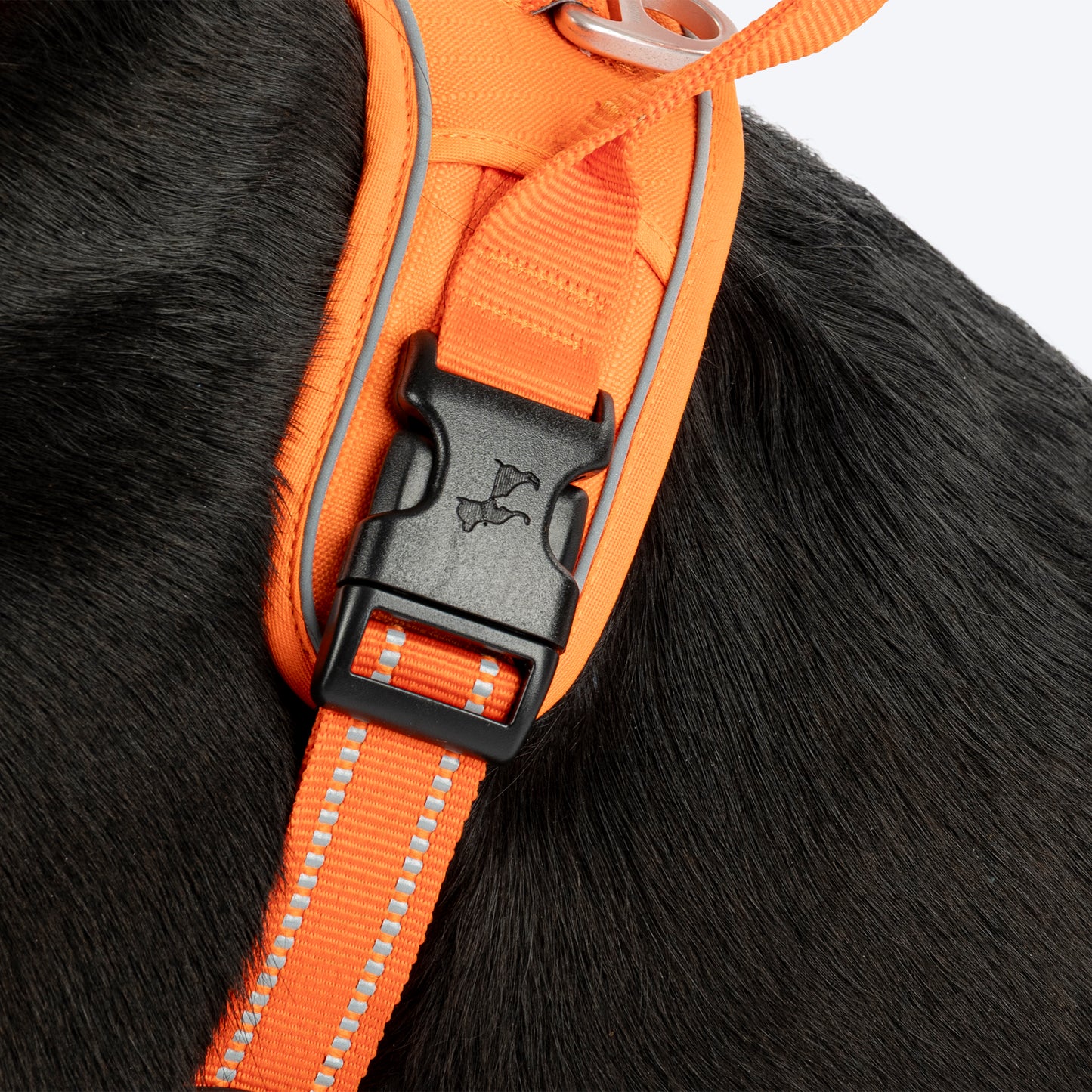 HUFT Xplorers Harness For Dog- Orange_05