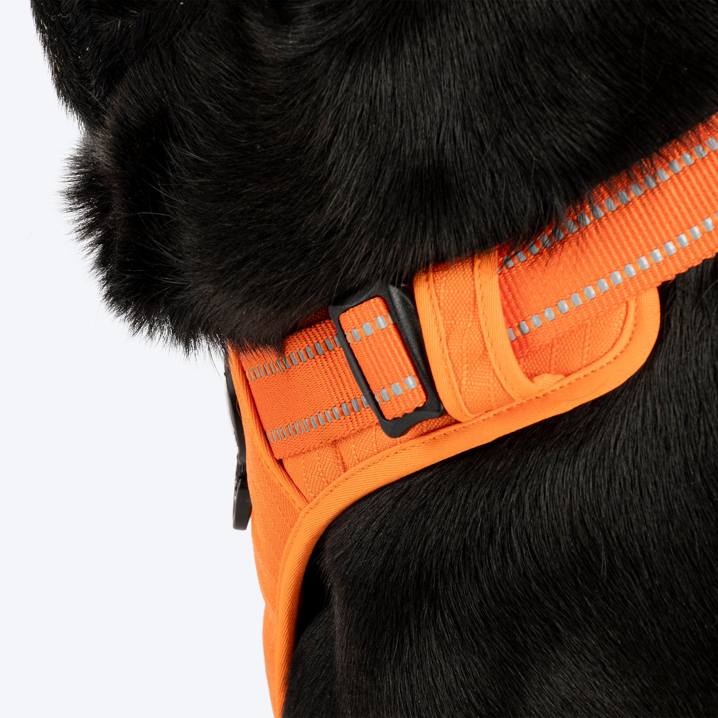 HUFT Xplorers Harness For Dog- Orange_07