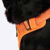 HUFT Xplorers Harness For Dog- Orange_07