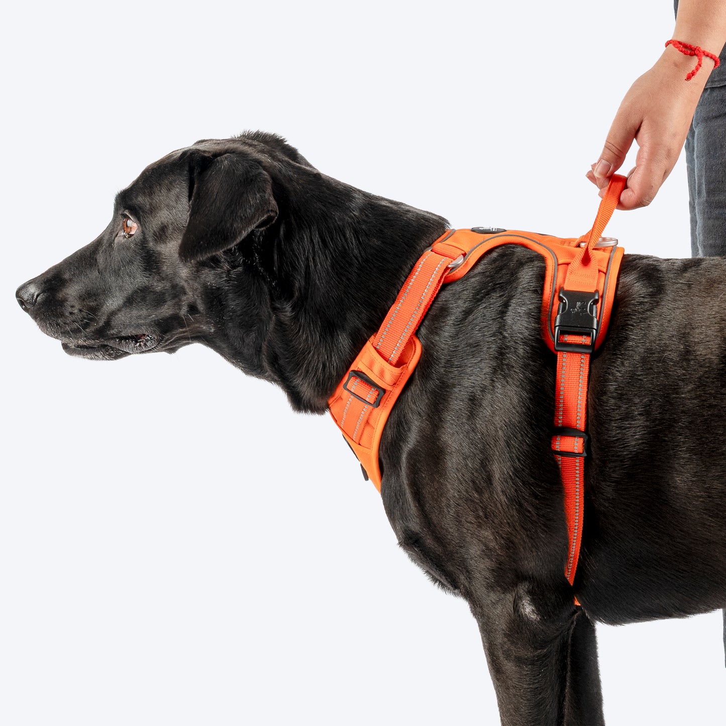HUFT Xplorers Harness For Dog- Orange_08