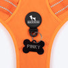 HUFT Xplorers Harness For Dog- Orange_10