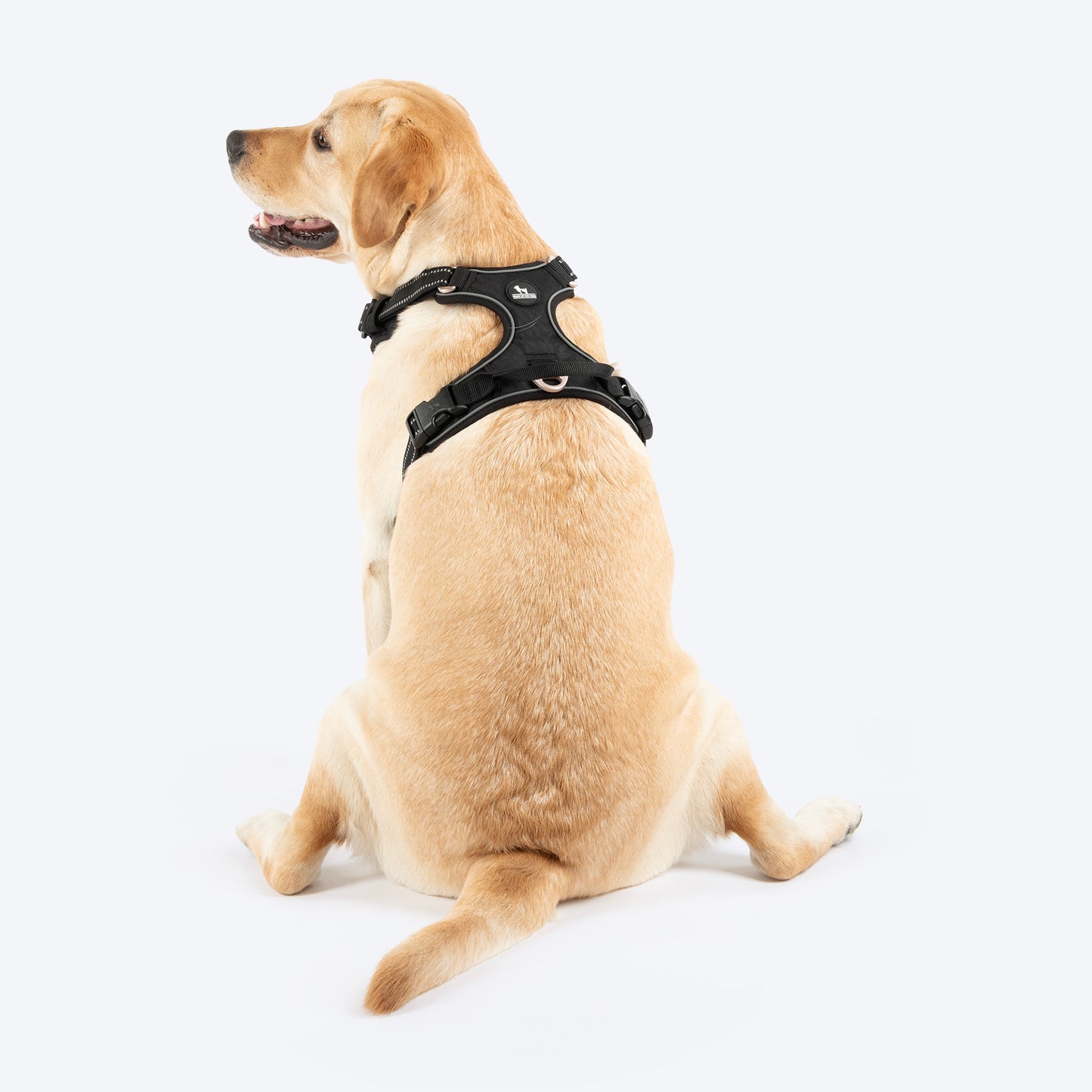 HUFT Xplorers Harness For Dog - Black_02