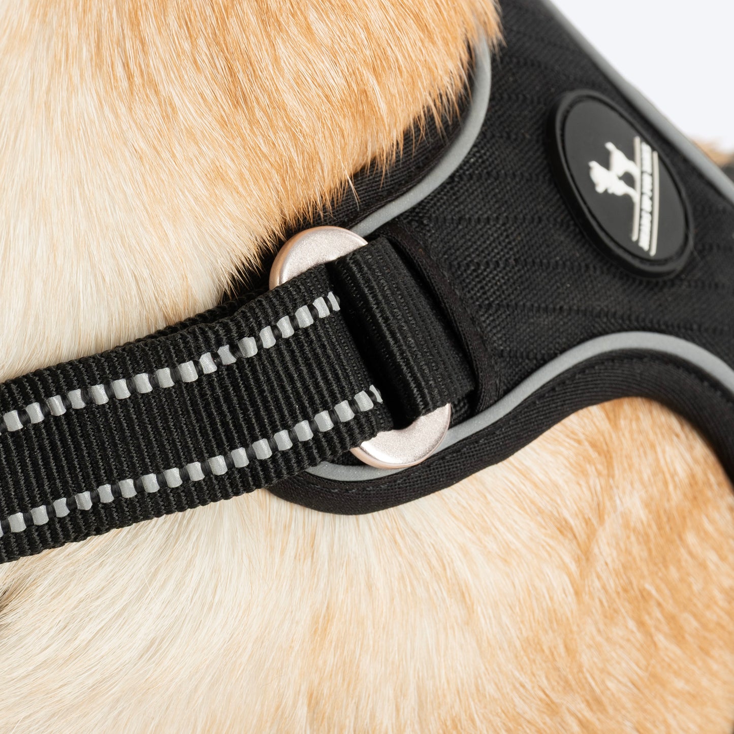 HUFT Xplorers Harness For Dog - Black_05