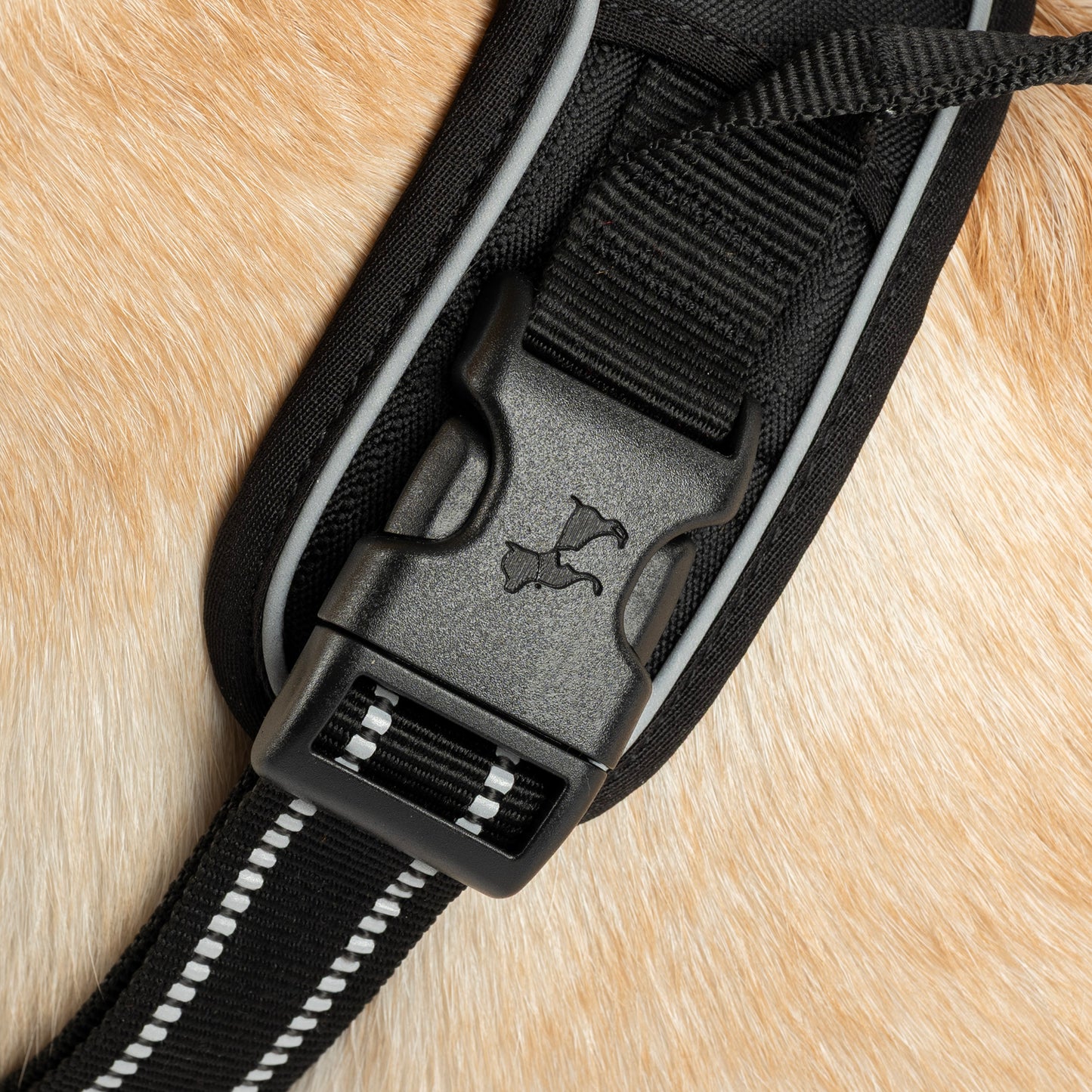 HUFT Xplorers Harness For Dog - Black_06