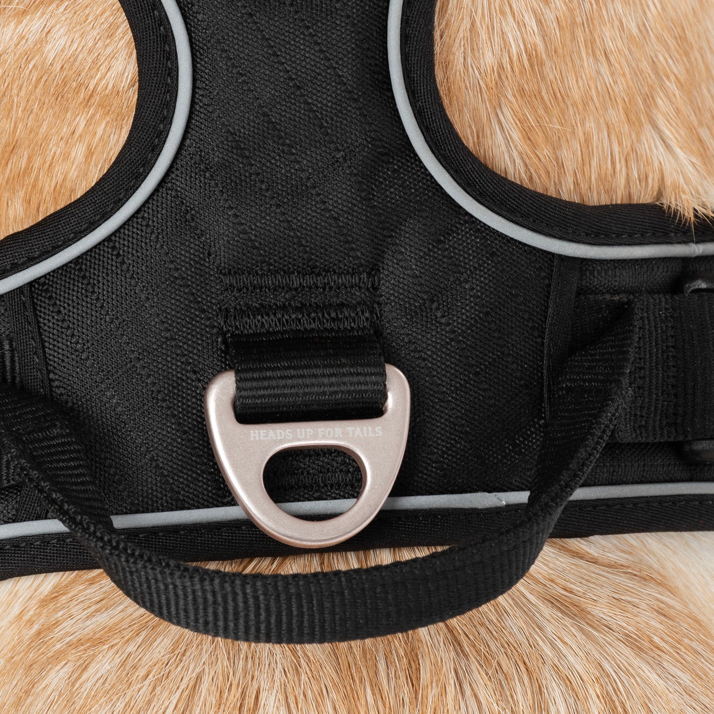 HUFT Xplorers Harness For Dog - Black_07