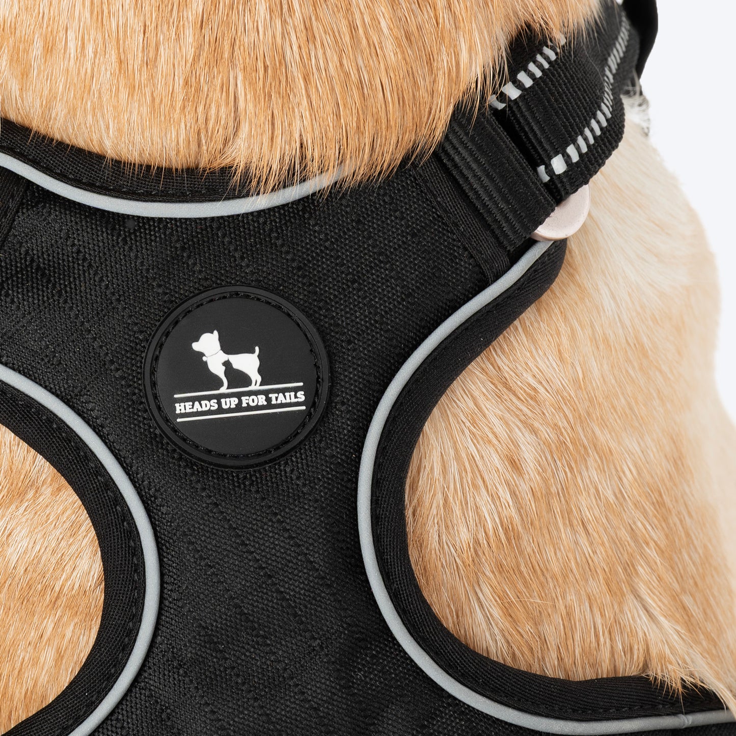 HUFT Xplorers Harness For Dog - Black_10