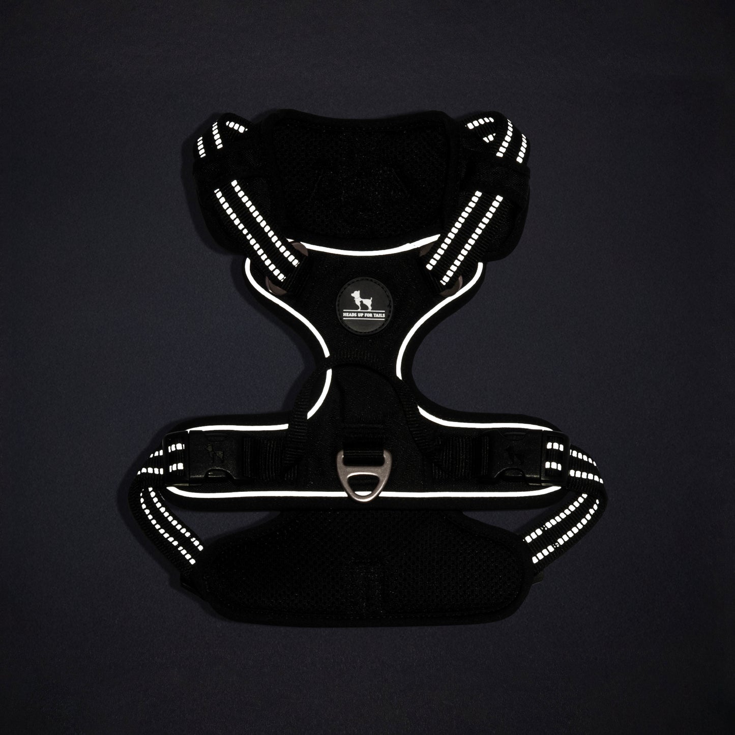 HUFT Xplorers Harness For Dog - Black_15