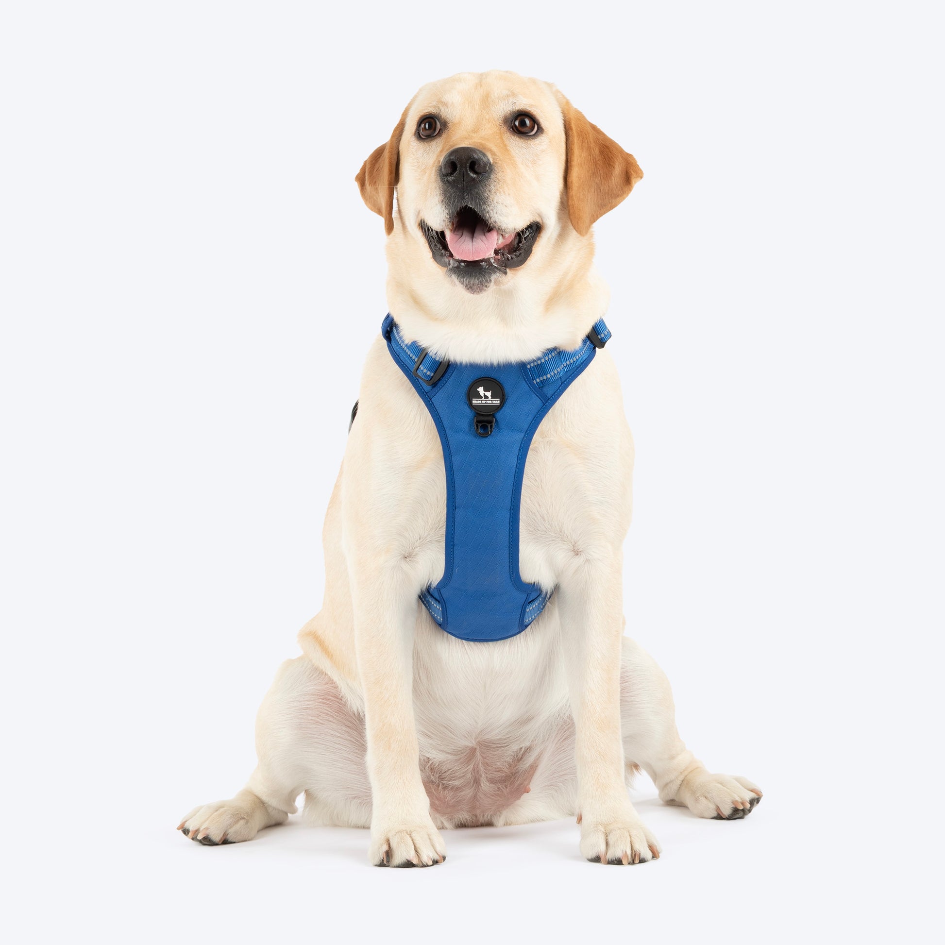 HUFT Xplorers Harness For Dog - Blue_01