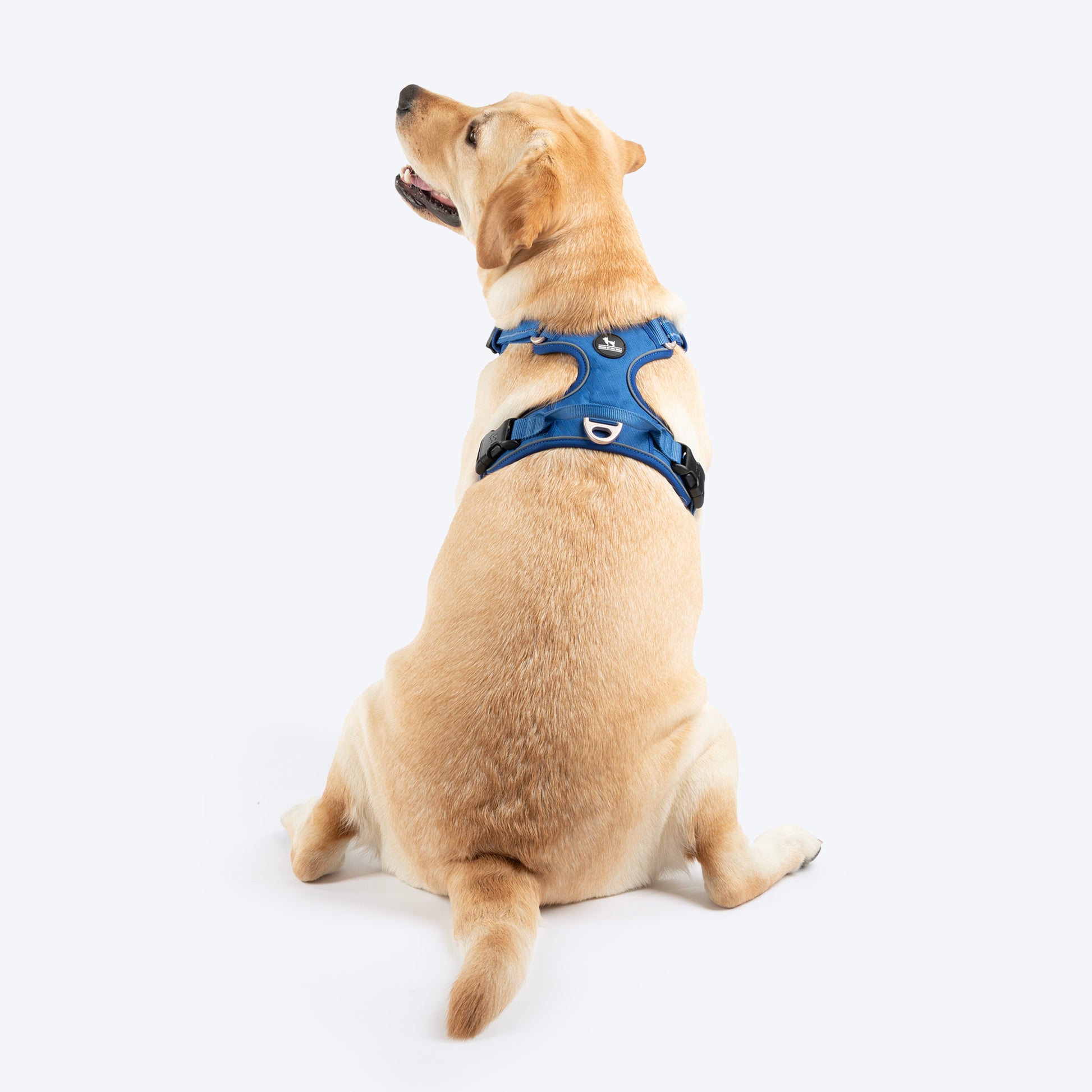 HUFT Xplorers Harness For Dog - Blue_02