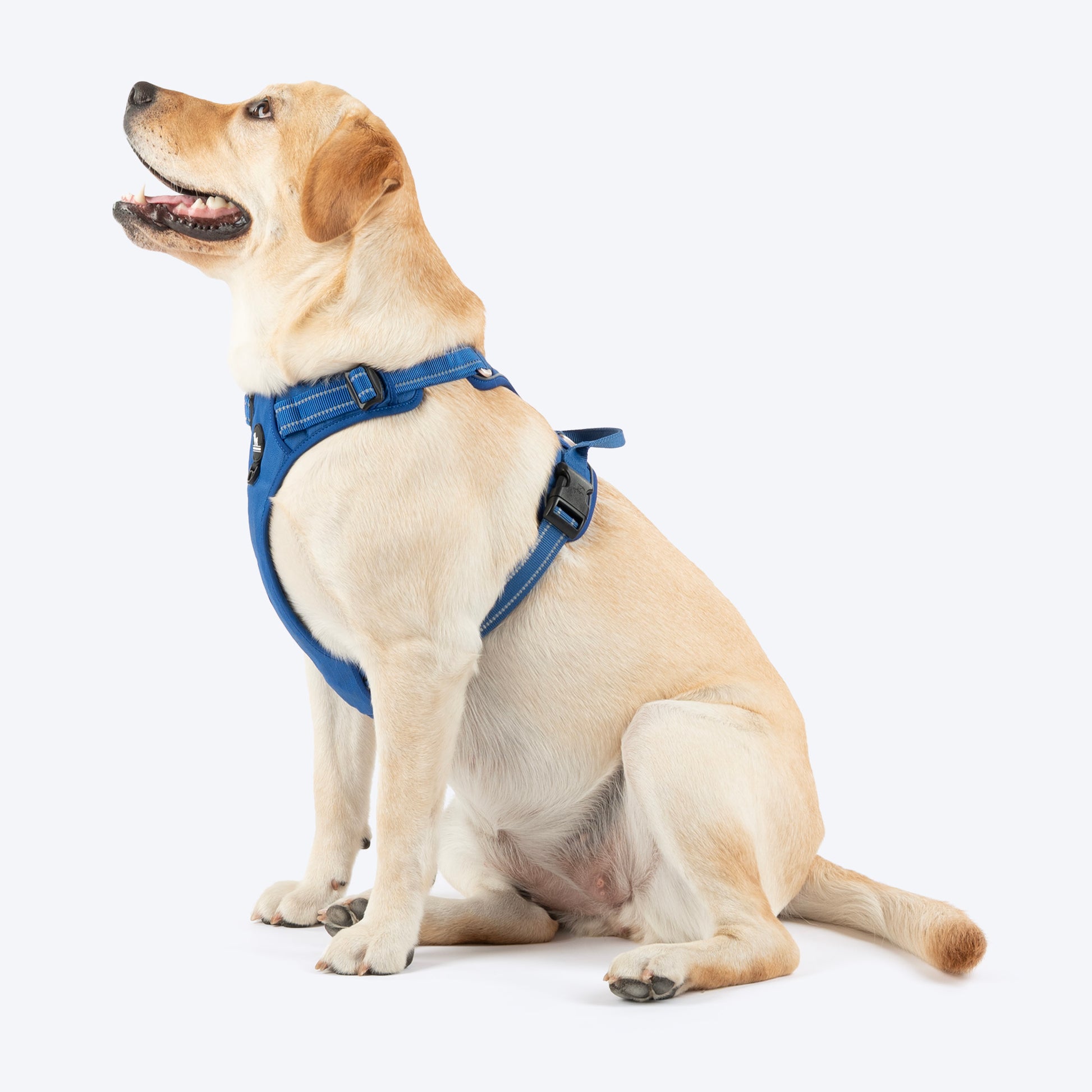HUFT Xplorers Harness For Dog - Blue_03