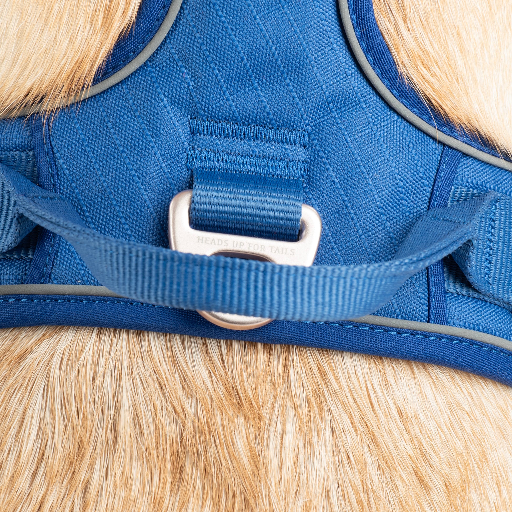 HUFT Xplorers Harness For Dog - Blue_05