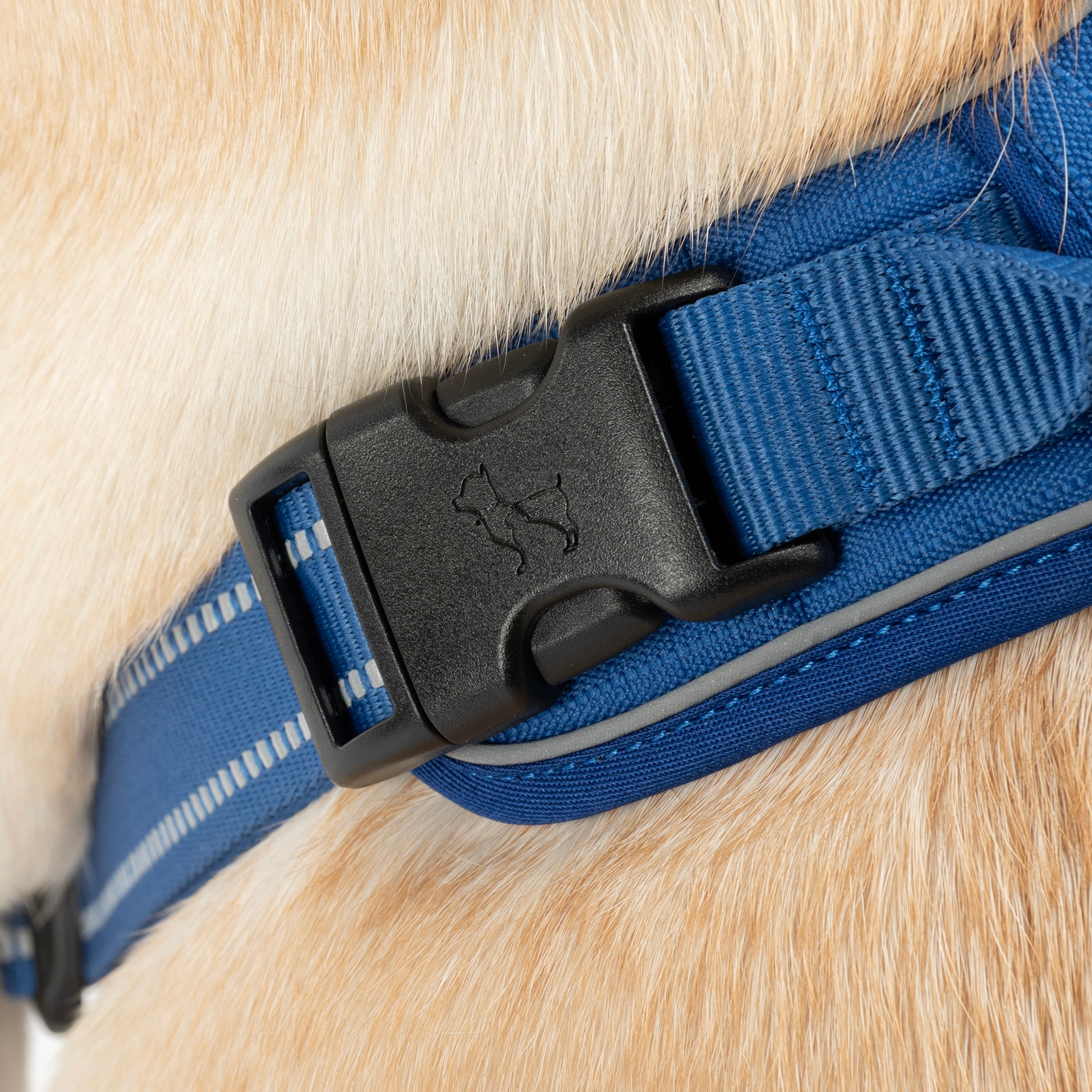 HUFT Xplorers Harness For Dog - Blue_06
