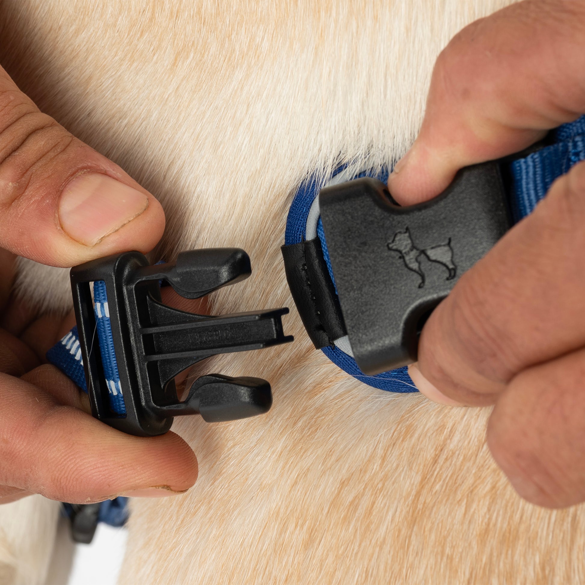 HUFT Xplorers Harness For Dog - Blue_07