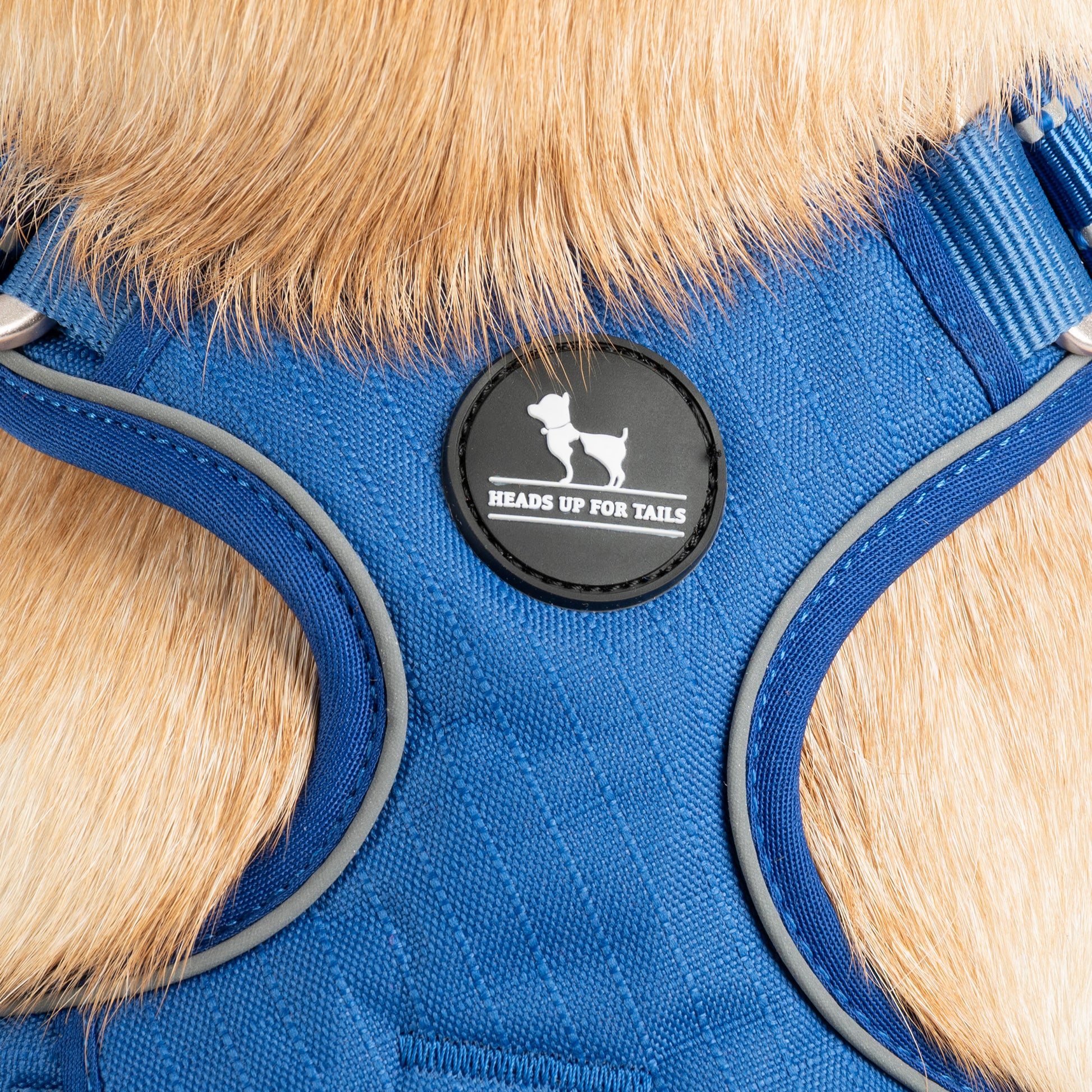HUFT Xplorers Harness For Dog - Blue_08