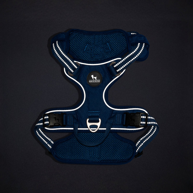 HUFT Xplorers Harness For Dog - Blue_13