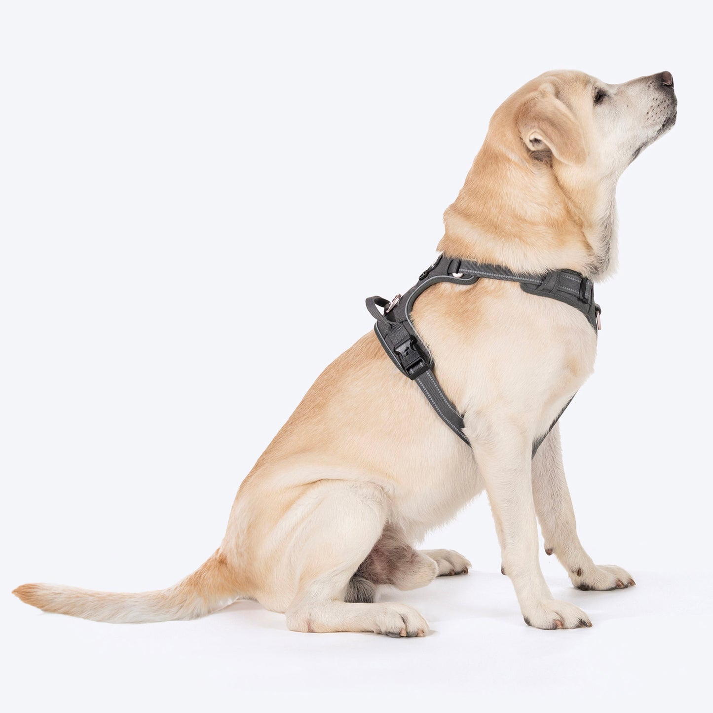HUFT Xplorers Harness For Dog - Grey - Heads Up For Tails