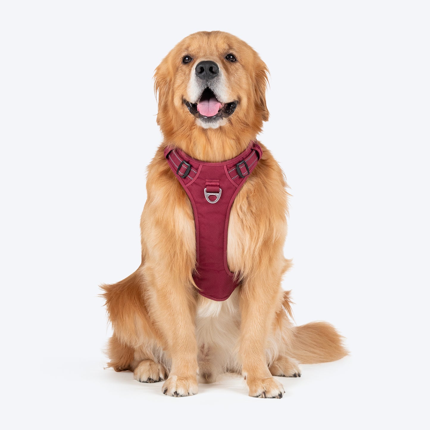 HUFT Xplorers Harness For Dog - Maroon - Heads Up For Tails