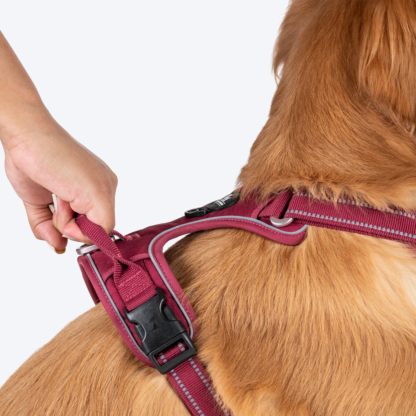 HUFT Xplorers Harness For Dog - Maroon - Heads Up For Tails