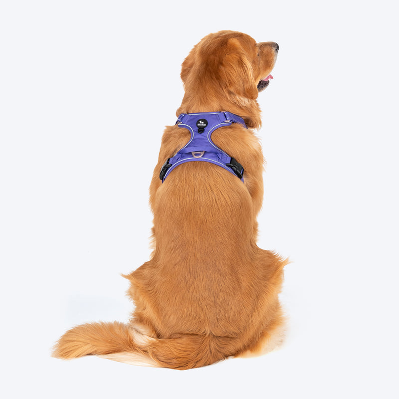 HUFT Xplorers Harness For Dog - Purple - Heads Up For Tails
