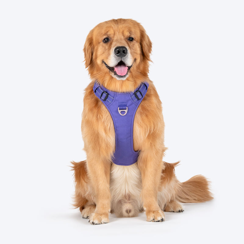 HUFT Xplorers Harness For Dog - Purple - Heads Up For Tails