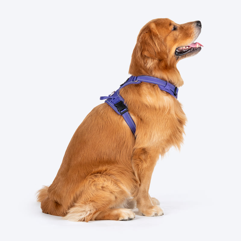 HUFT Xplorers Harness For Dog - Purple - Heads Up For Tails
