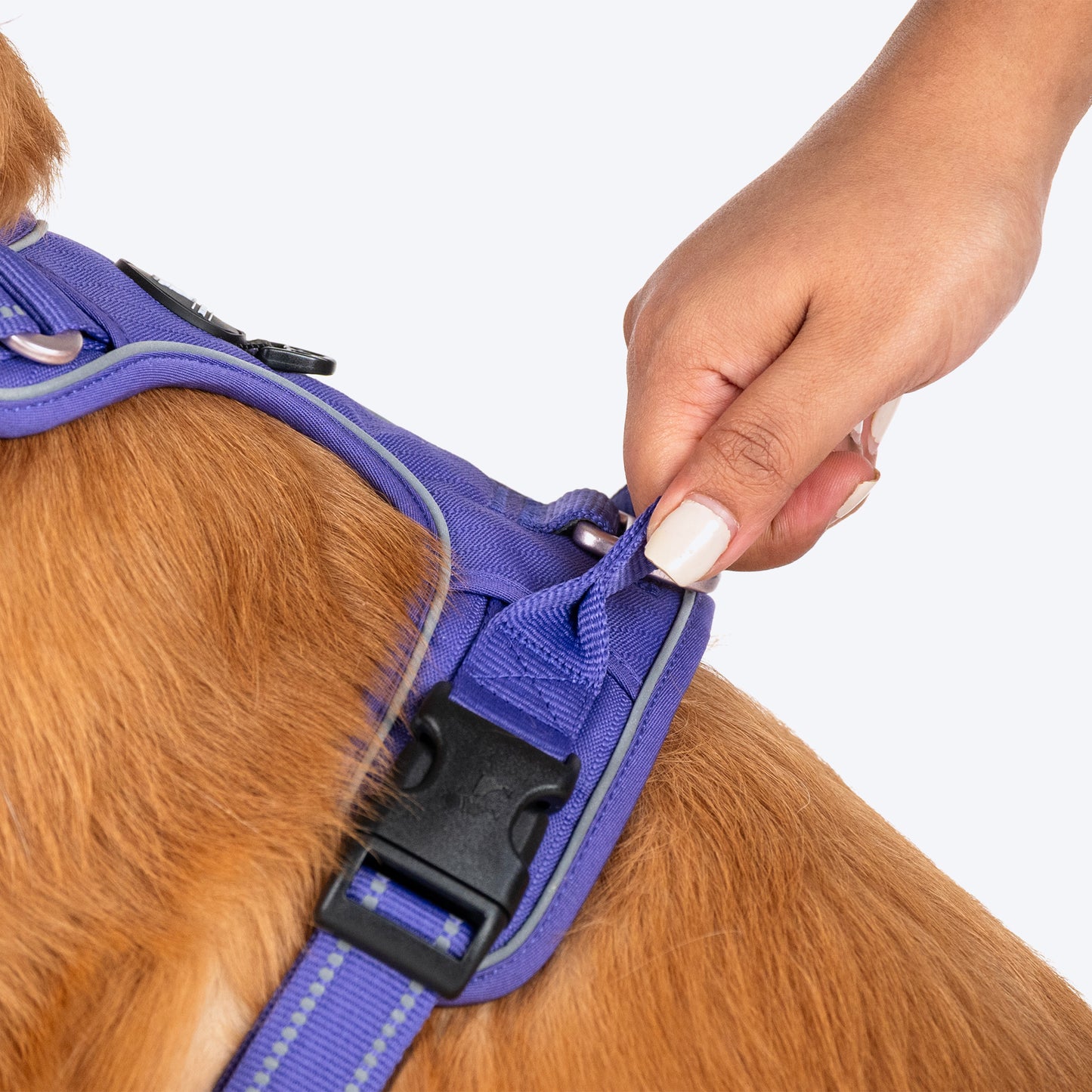 HUFT Xplorers Harness For Dog - Purple - Heads Up For Tails