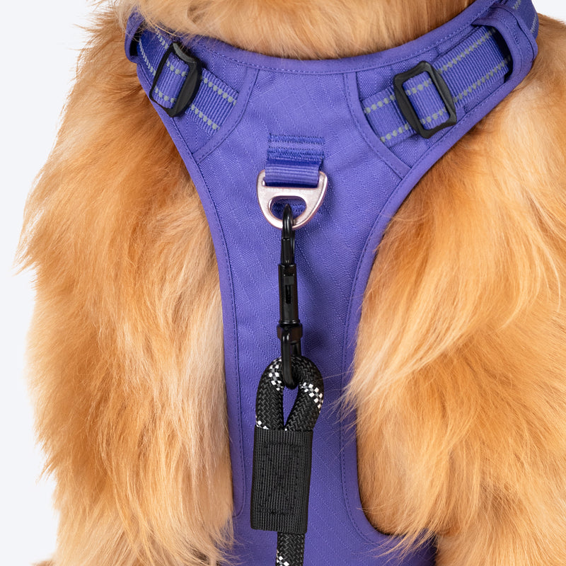 HUFT Xplorers Harness For Dog - Purple - Heads Up For Tails