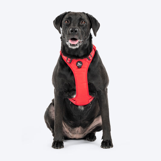 HUFT Xplorers Harness For Dog - Red_01